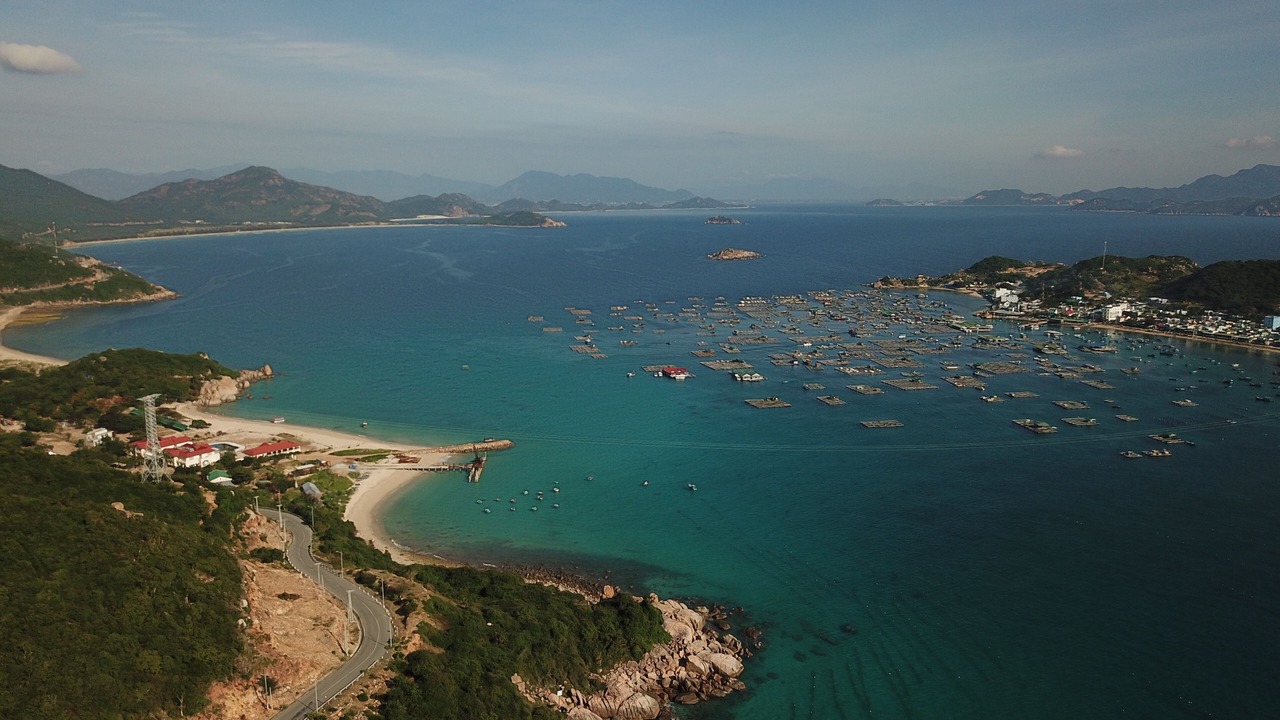 Photo of Others in Ninh Hai
