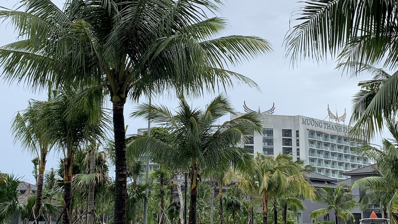 Photo of Outdoor in Cua Lap