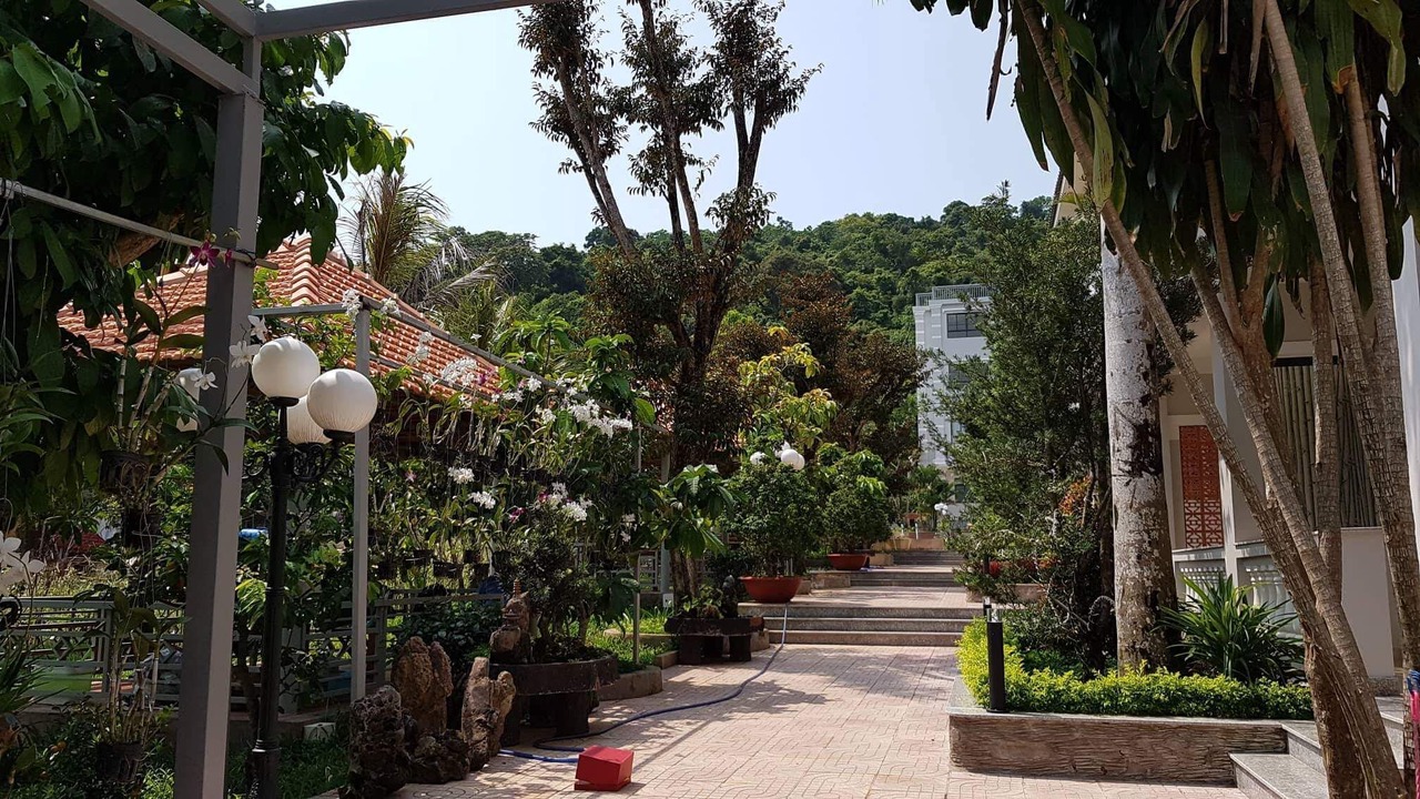 Photo of Outdoor in Duong Dong