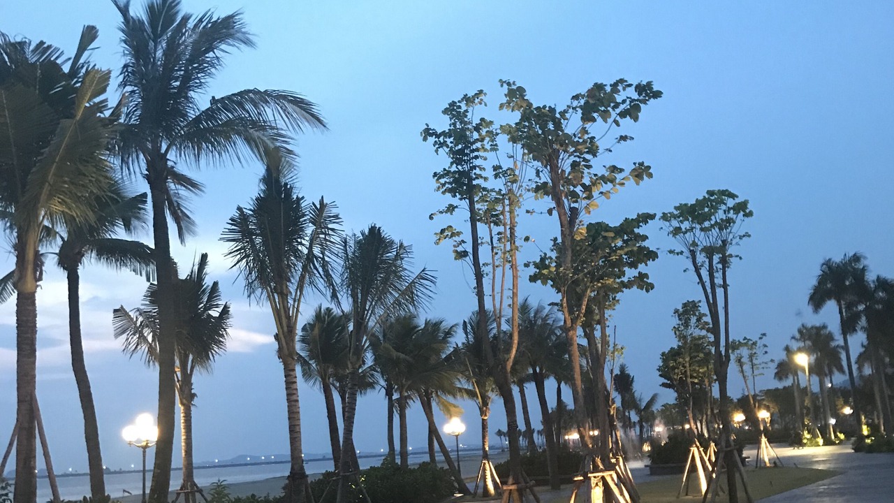 Photo of Others in Ha Long