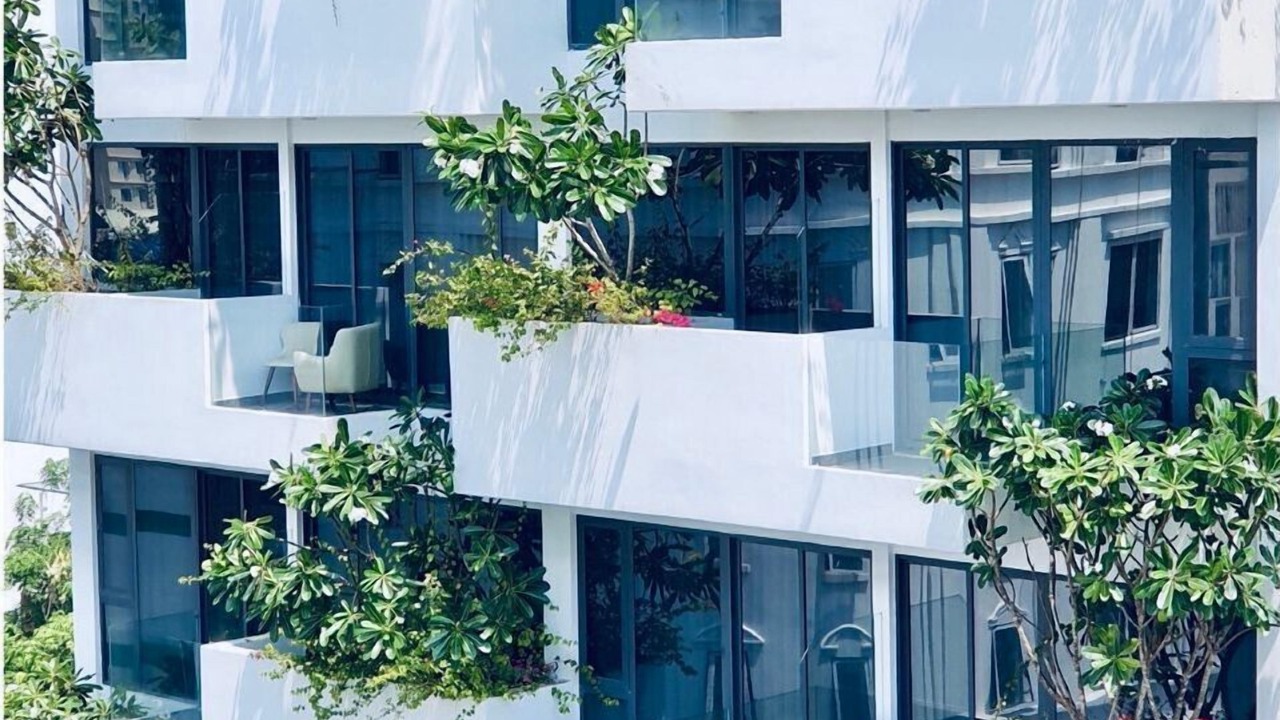 Photo of Outdoor in Ngu Hanh Son