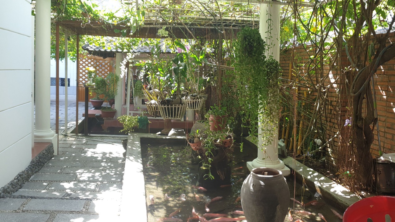 Photo of Outdoor in Nha Trang