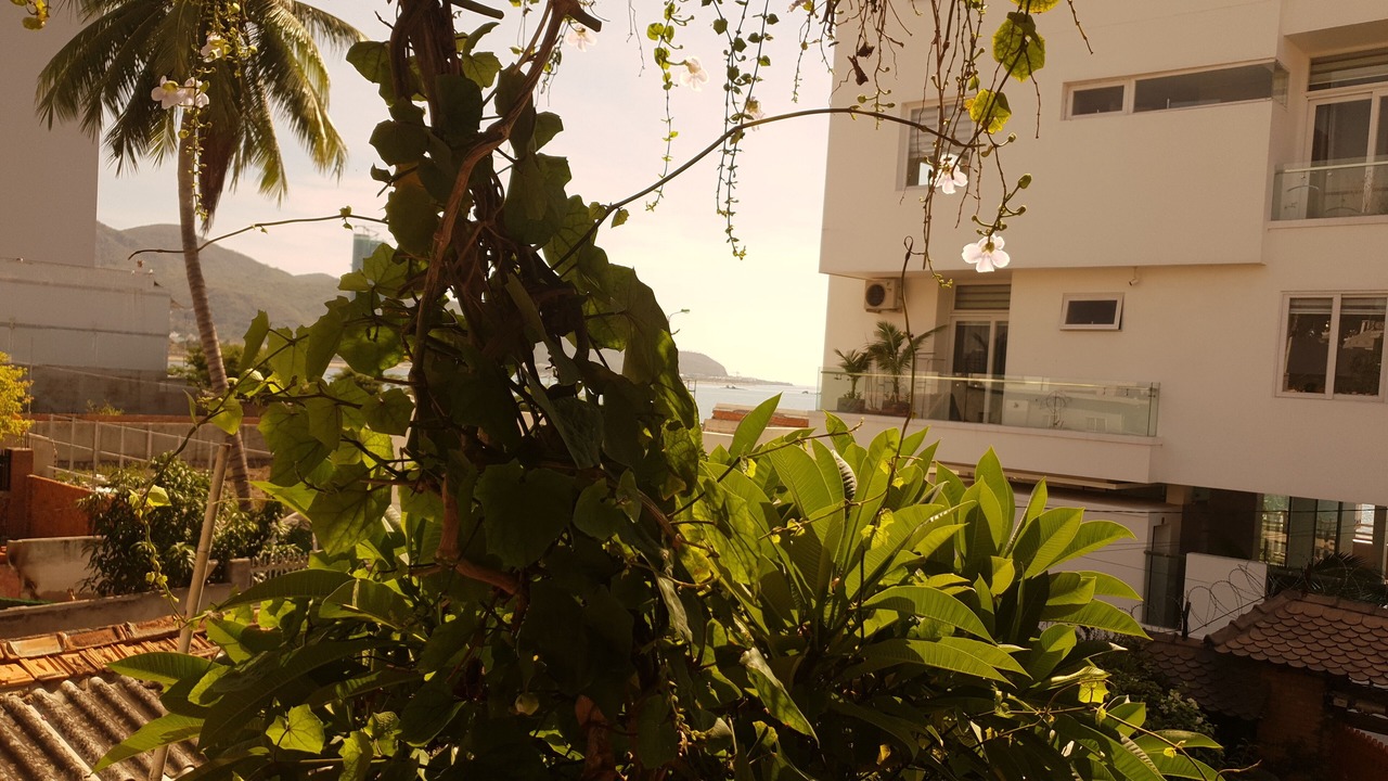 Photo of Outdoor in Nha Trang
