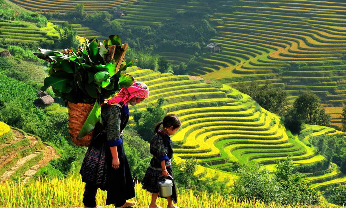 Photo of Others in Sa Pa