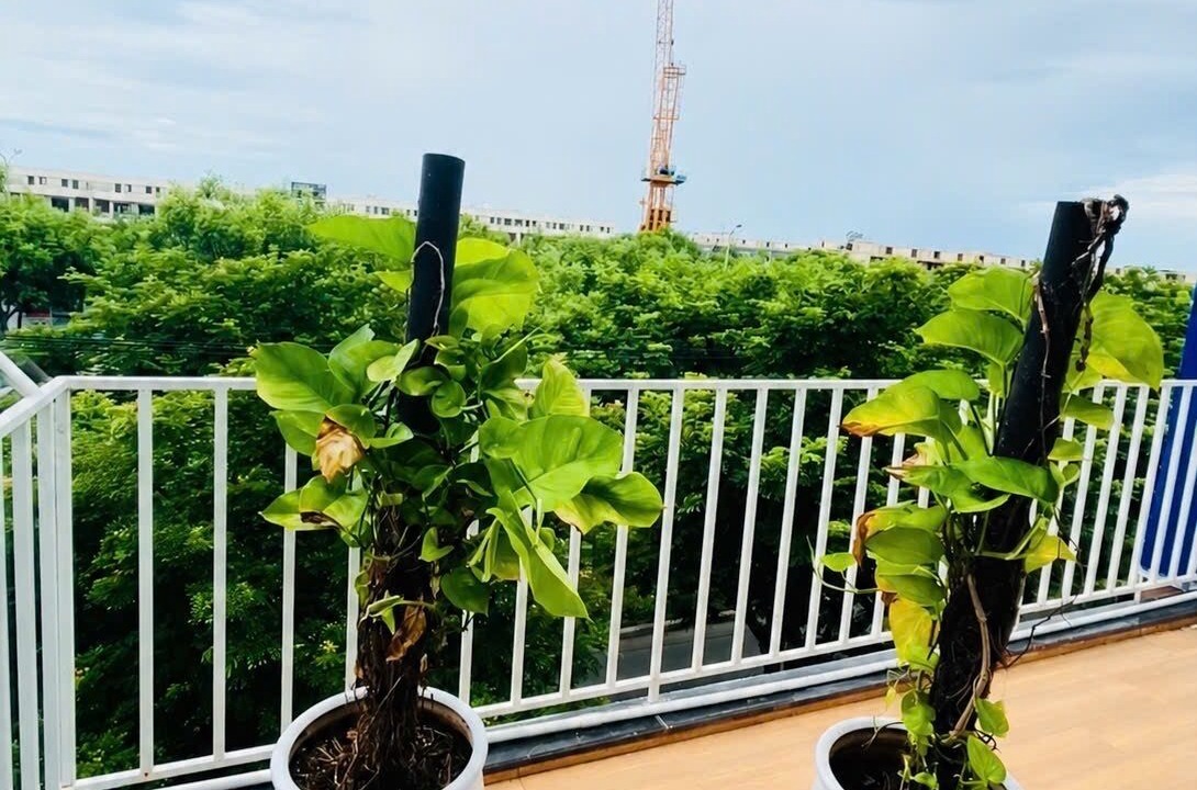 Photo of Outdoor in Hai Chau