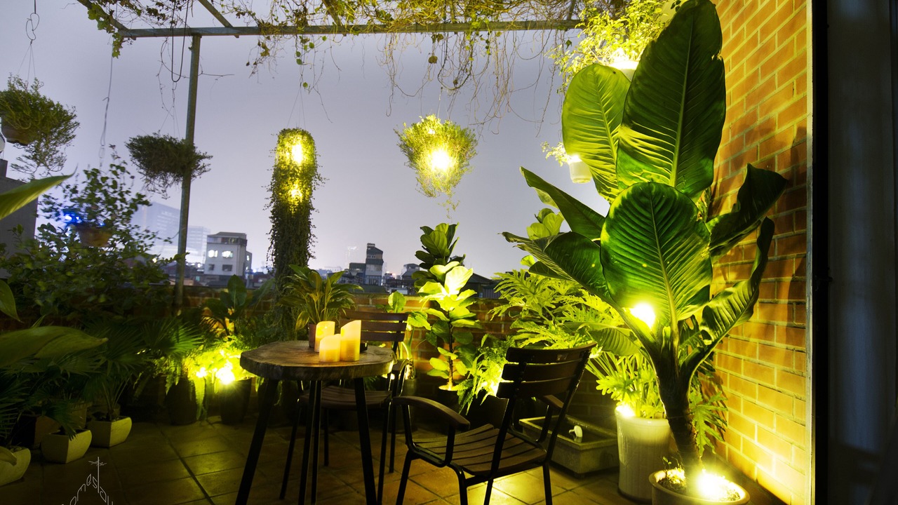 Photo of Outdoor in Trung Phung
