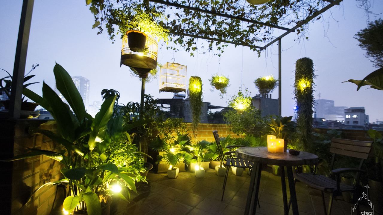 Photo of Outdoor in Trung Phung