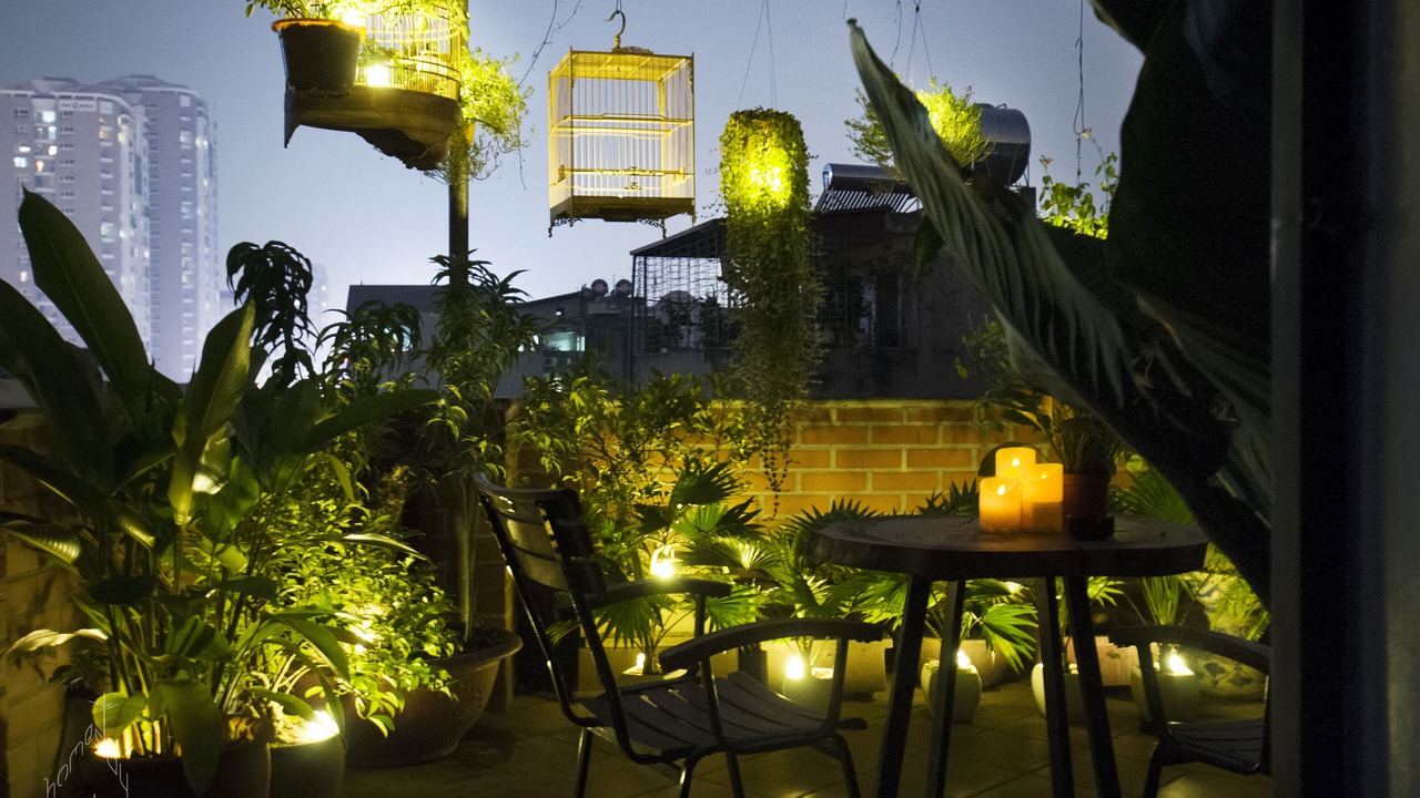 Photo of Outdoor in Trung Phung