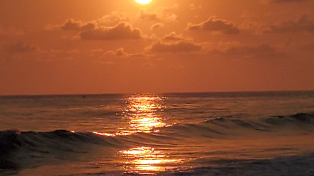 Photo of Others in Ixtapa