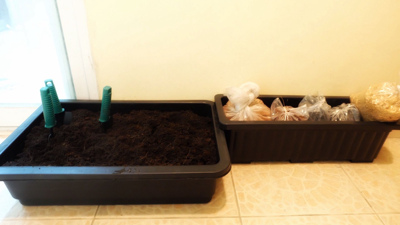 Photo of Others in Thu Thiem