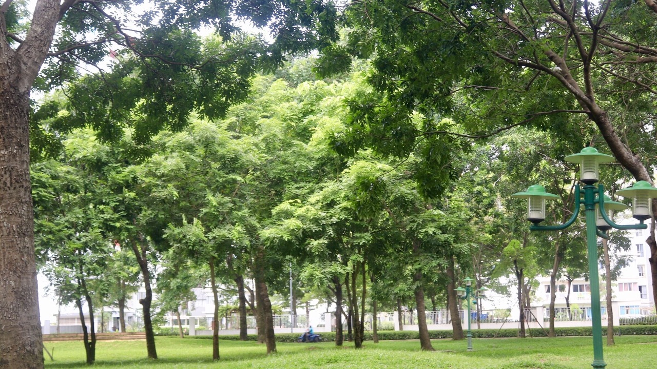 Photo of Others in Tan Phu District
