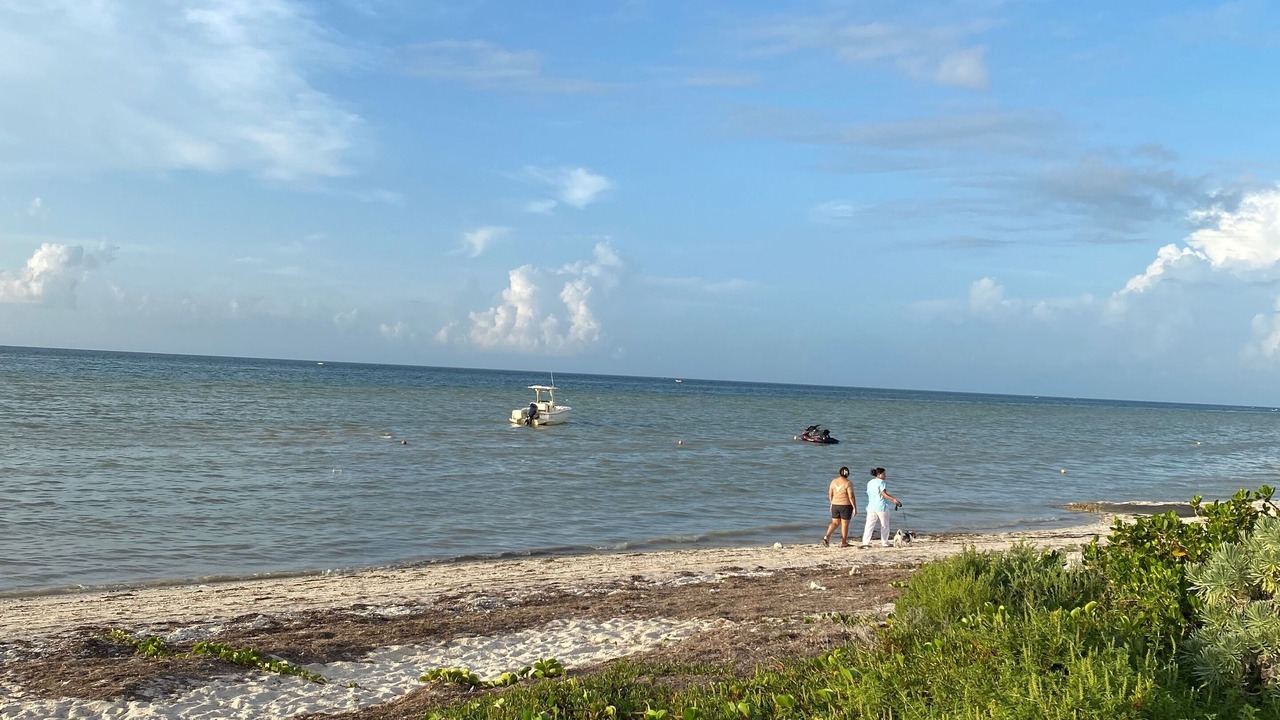 Photo of Others in Chicxulub Puerto