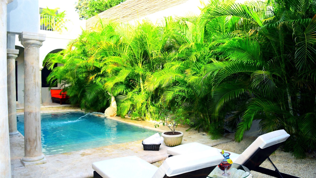 Photo of Outdoor in Centro