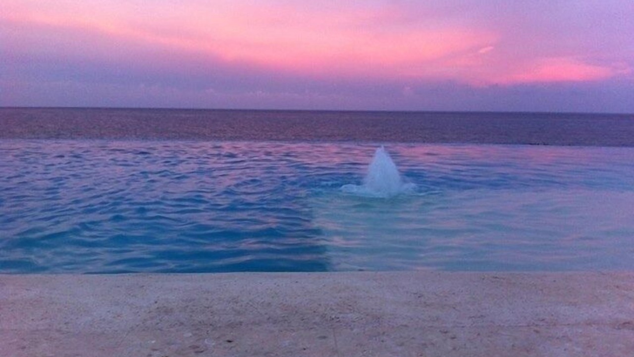 Photo of Others in Isla Mujeres