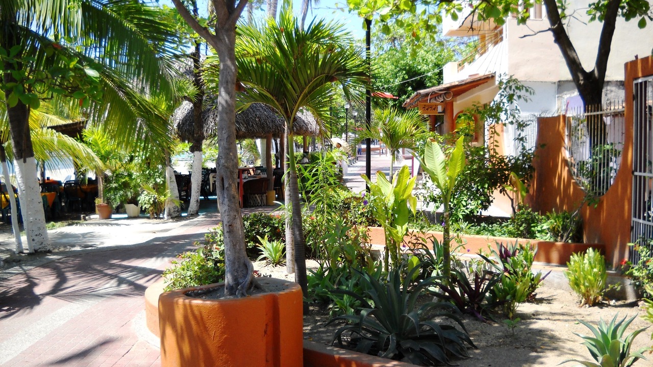 Photo of Others in Playa la Madera