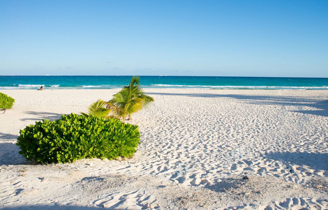 Photo of Others in Playacar Fase I