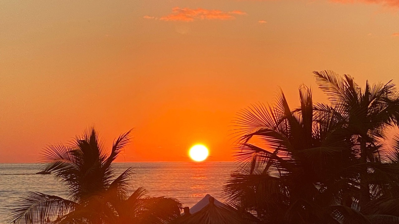 Photo of Others in Ixtapa