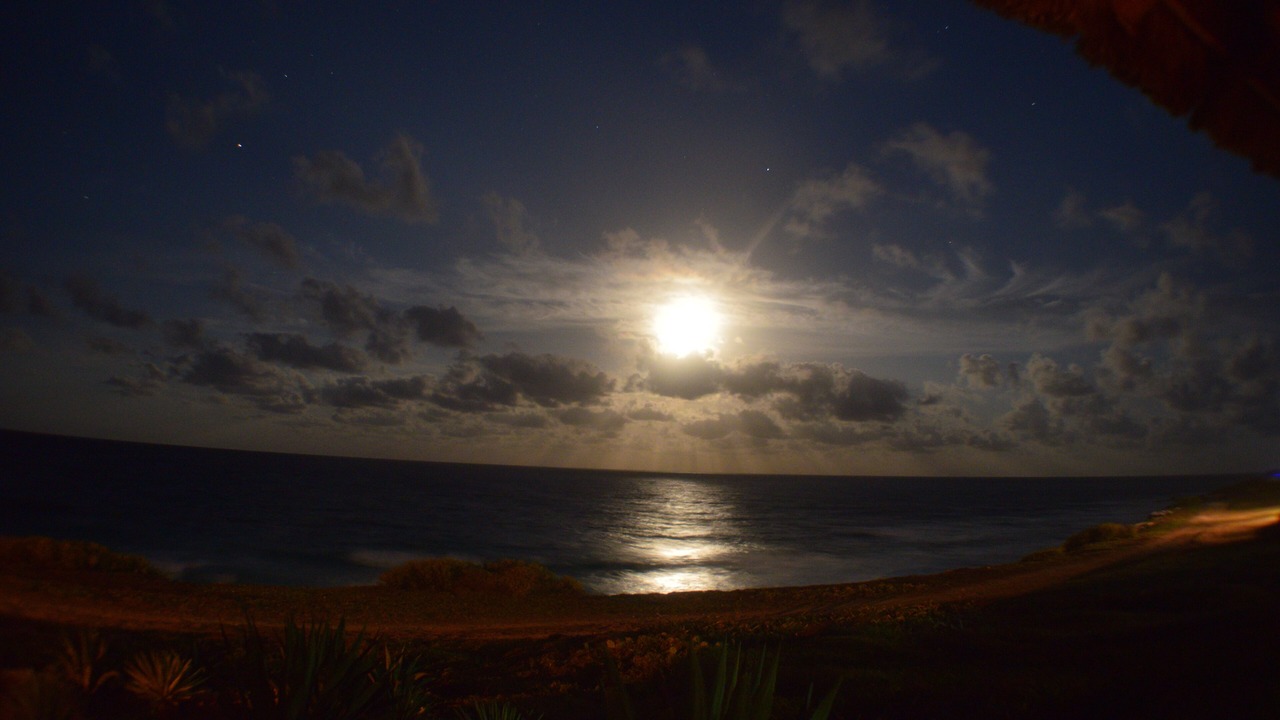 Photo of Outdoor in Isla Mujeres
