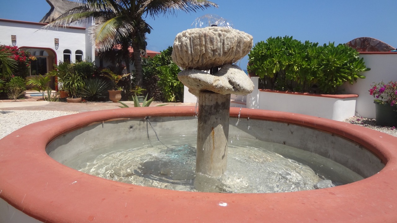 Photo of Others in Isla Mujeres