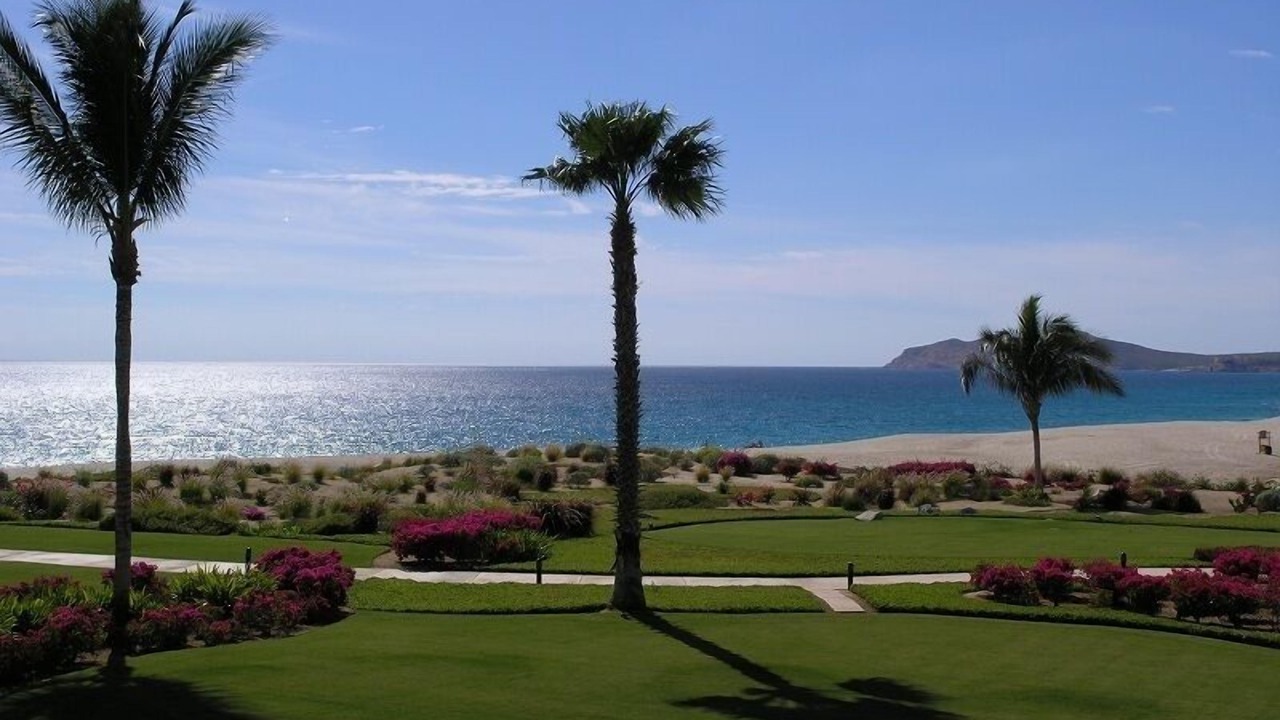 Photo of Others in San Jose del Cabo
