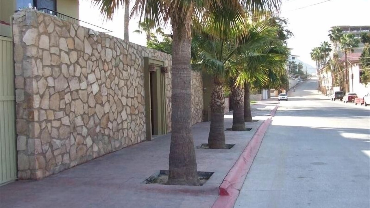 Photo of Others in El Medano Ejidal