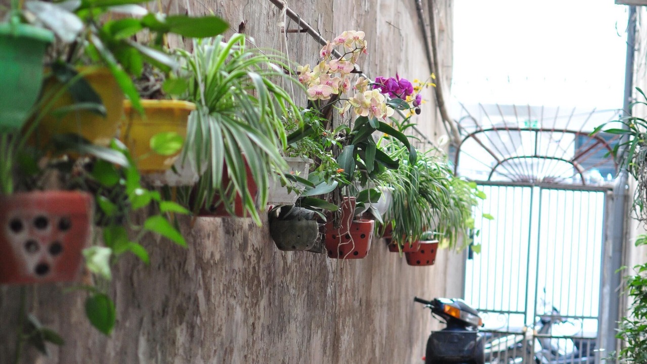 Photo of Outdoor in Truc Bach