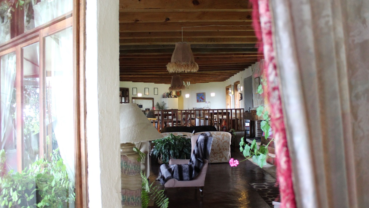 Photo of Others in Zacatlan