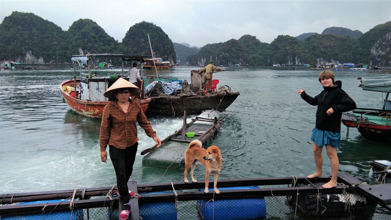 Photo of Others in Cat Ba