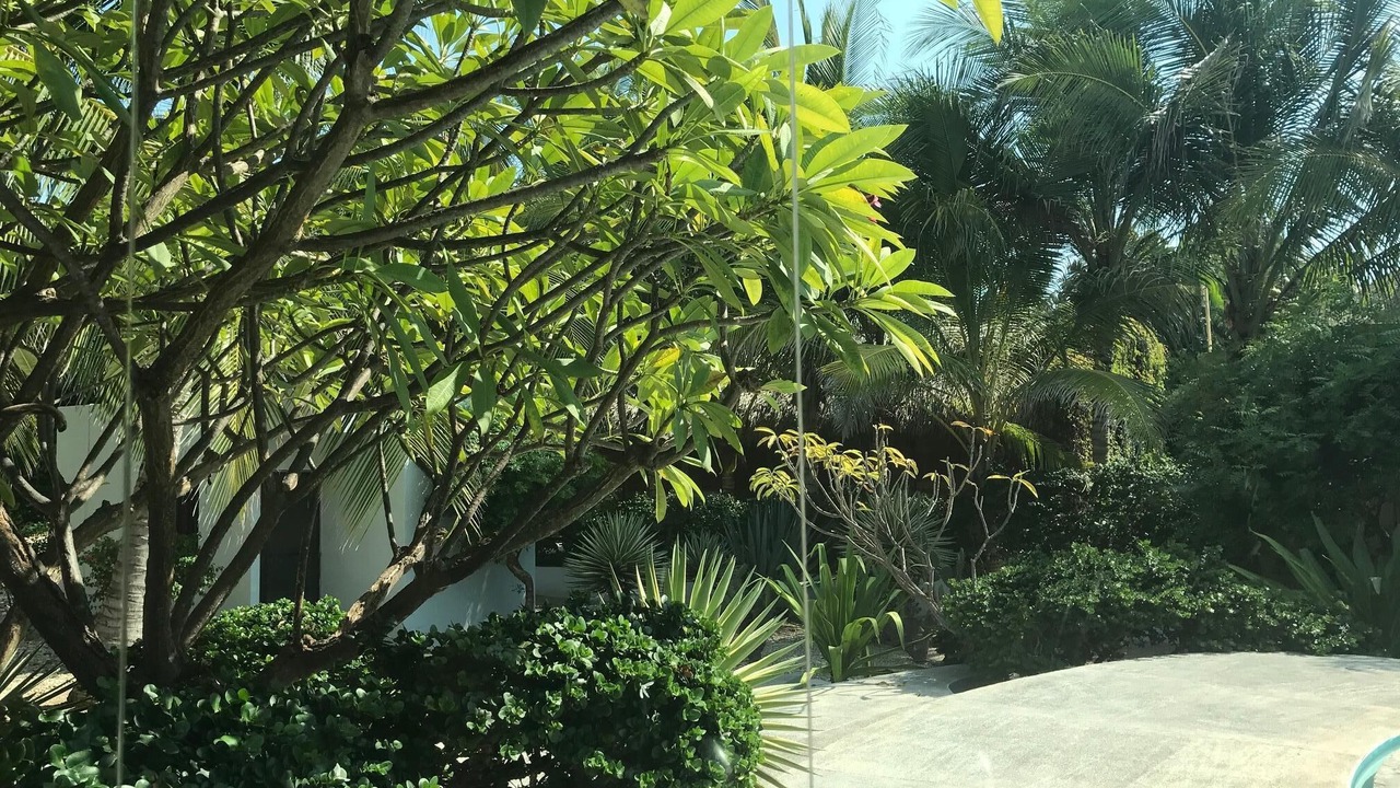 Photo of Others in Barra de Colotepec