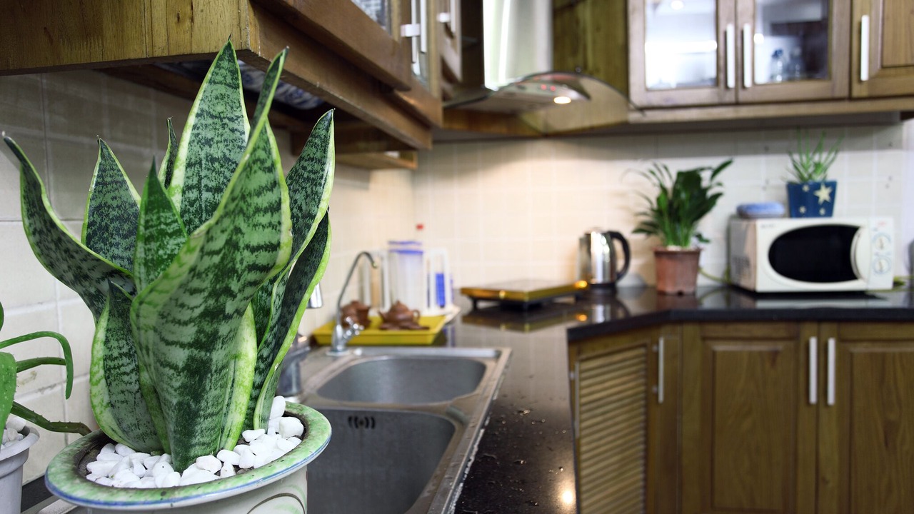 Photo of Kitchen in Tay Ho