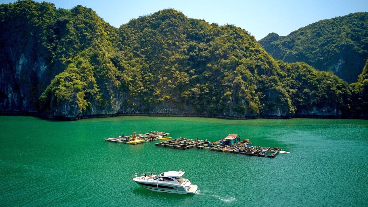 Photo of Others in Ha Long