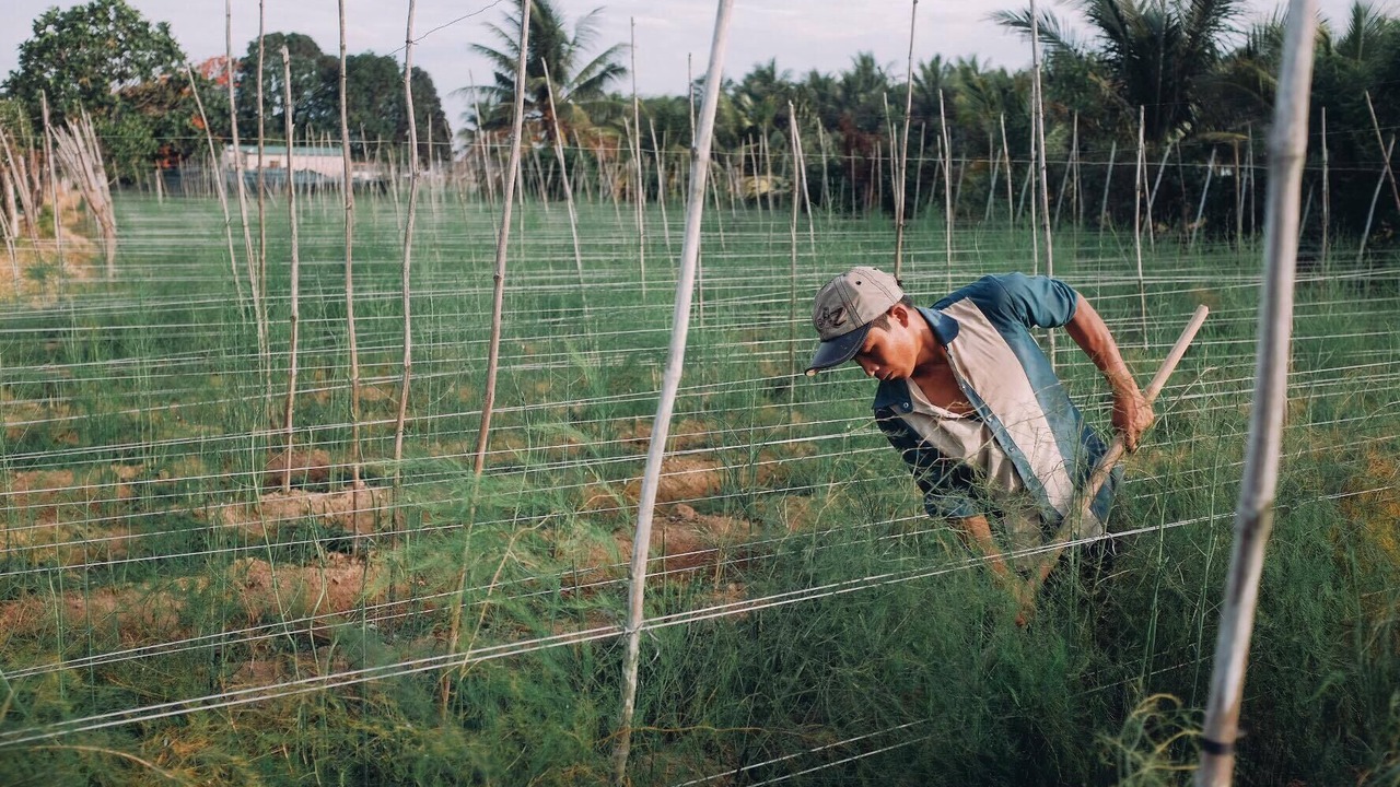 Photo of Others in Ninh Hai