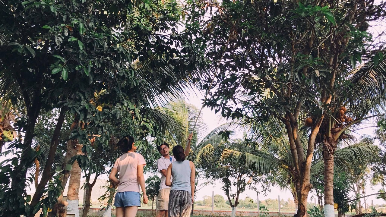 Photo of Outdoor in Ninh Hai