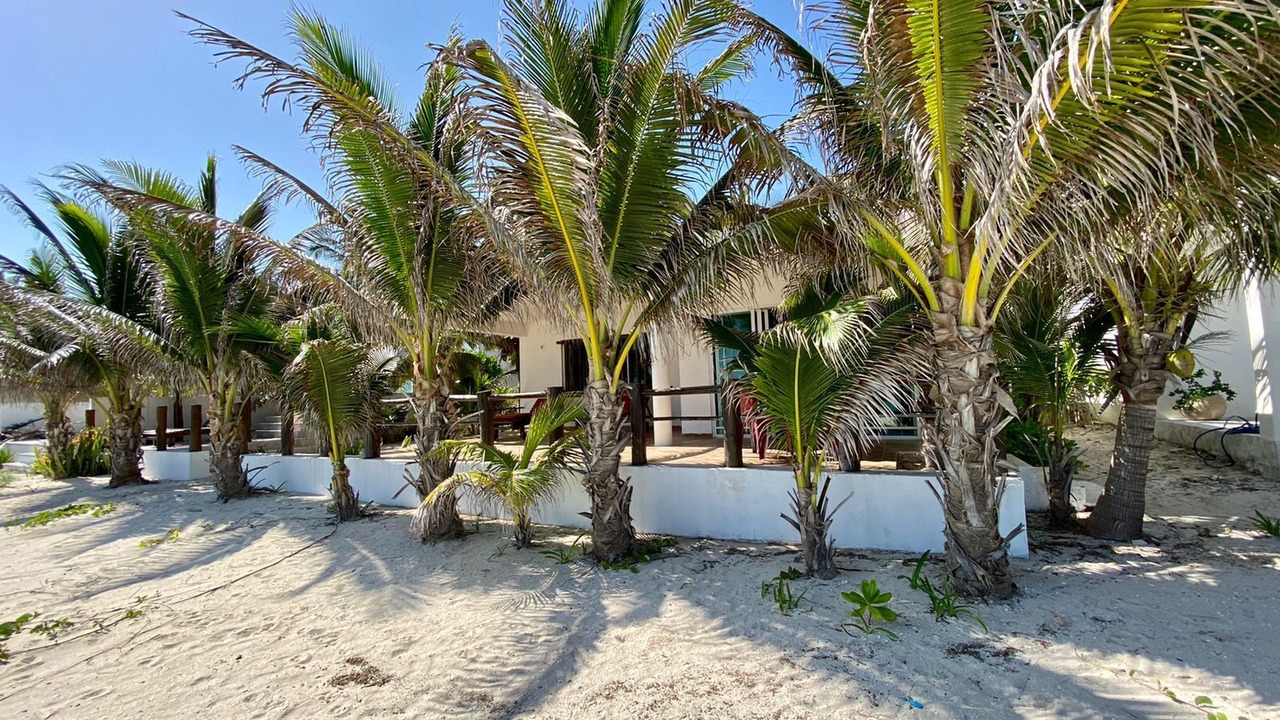 Photo of Outdoor in Chelem