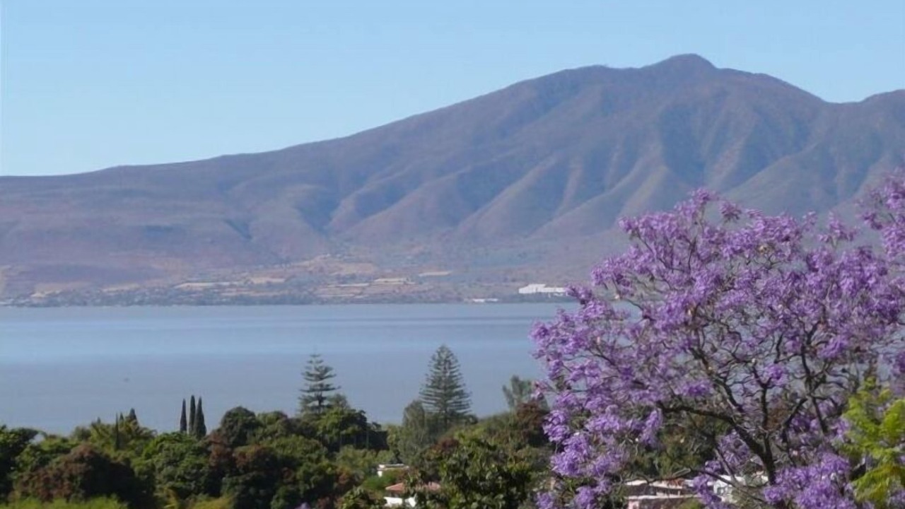 Photo of Outdoor in Ajijic
