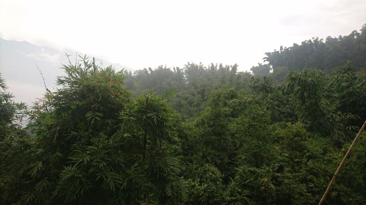 Photo of Outdoor in Sa Pa