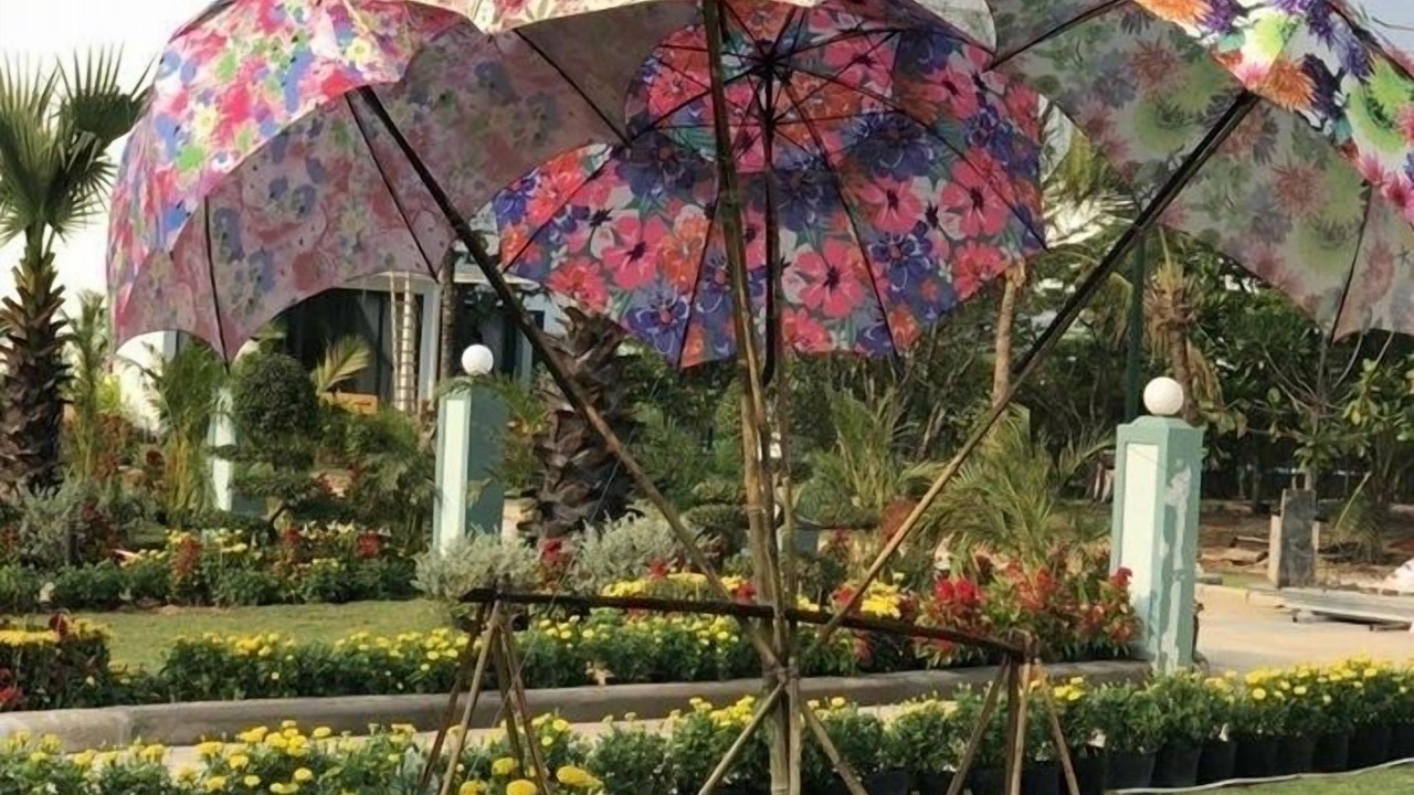 Photo of Others in Vung Tau
