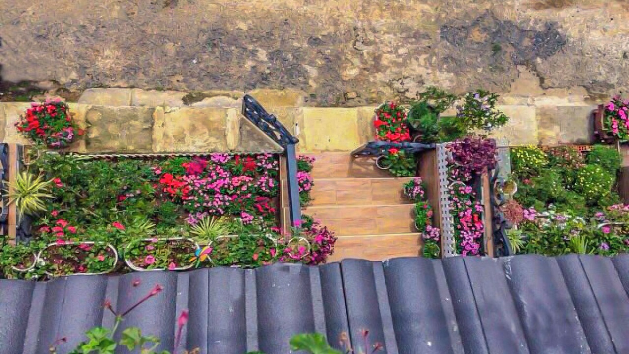 Photo of Patio Balcony in Phuong