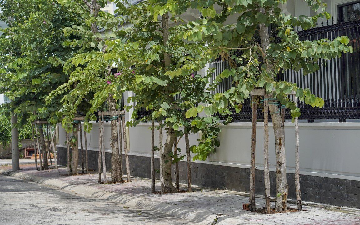 Photo of Outdoor in Vung Tau