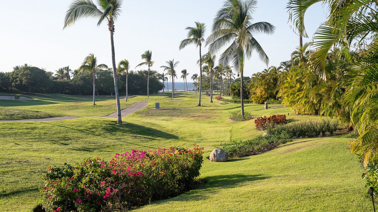 Photo of Others in Punta de Mita