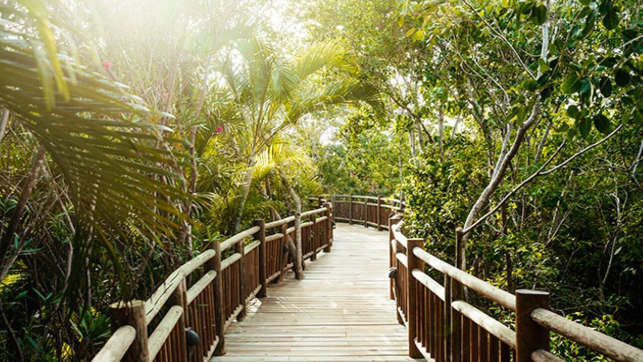 Photo of Outdoor in Playacar