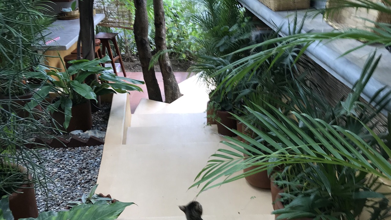 Photo of Others in Zihuatanejo