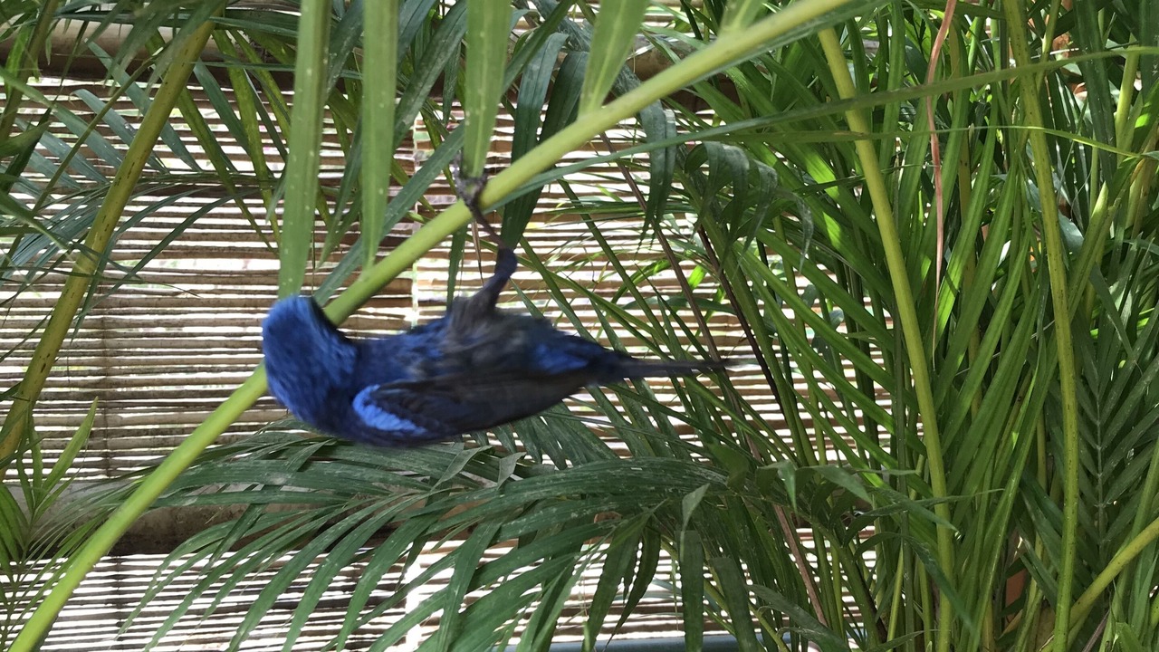 Photo of Others in Zihuatanejo