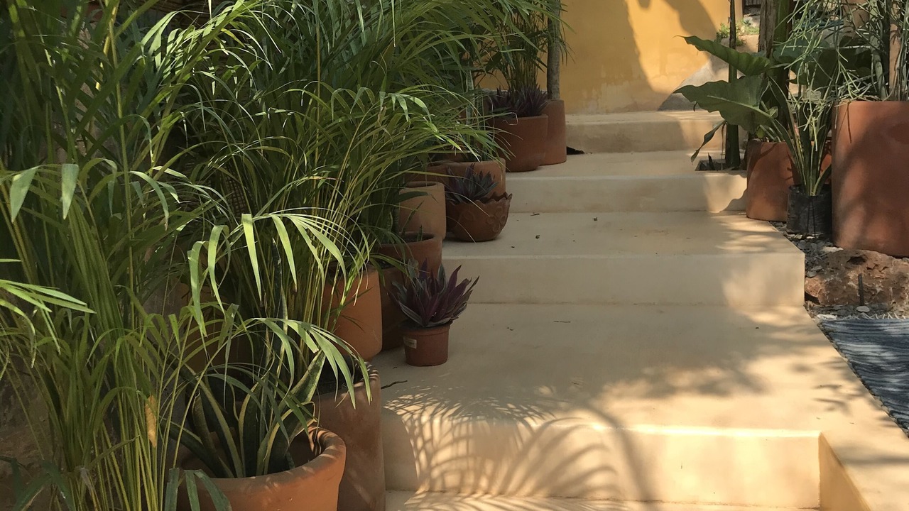 Photo of Others in Zihuatanejo