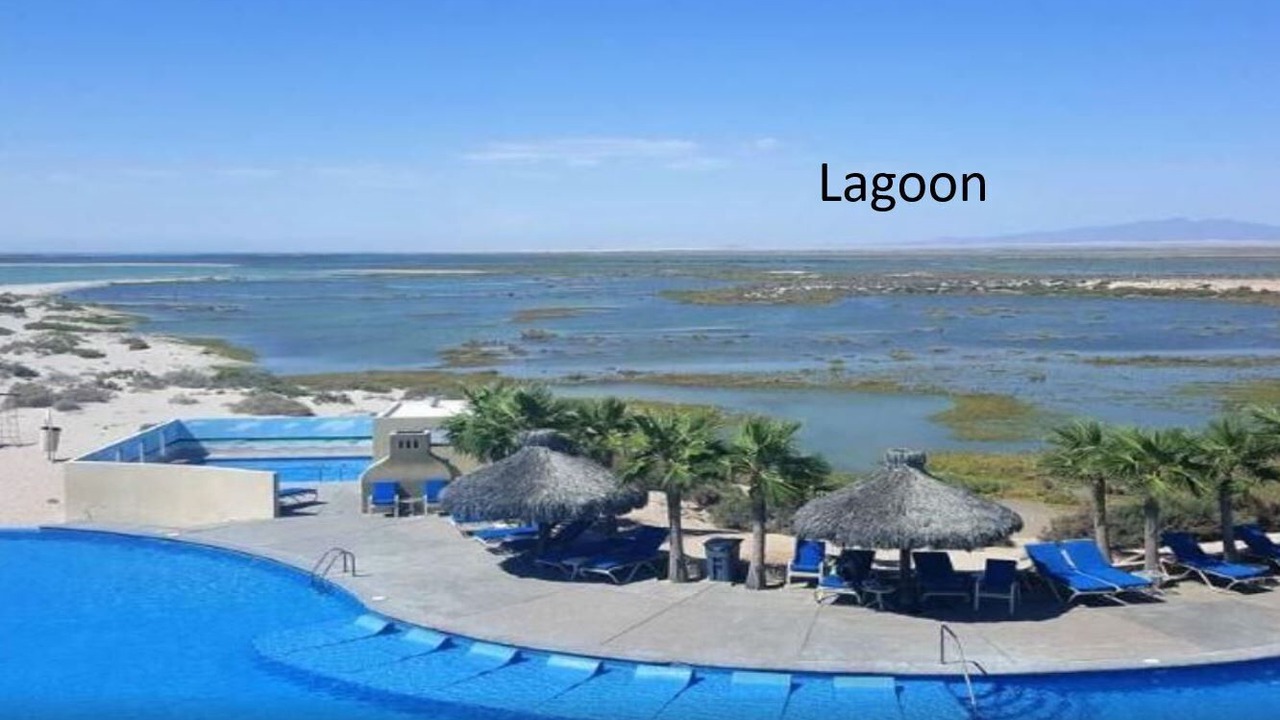 Photo of Outdoor in Laguna Shores