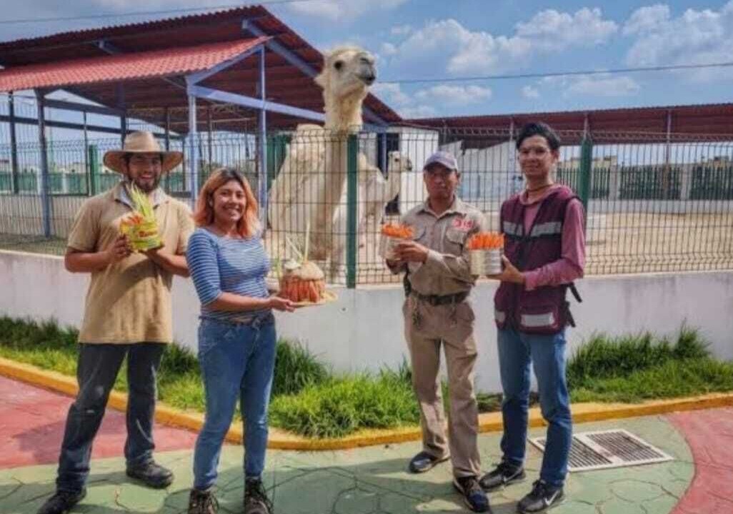 Photo of Others in Tizayuca