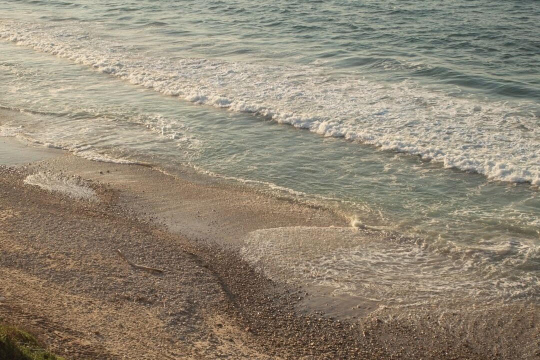 Photo of Others in Punta Negra