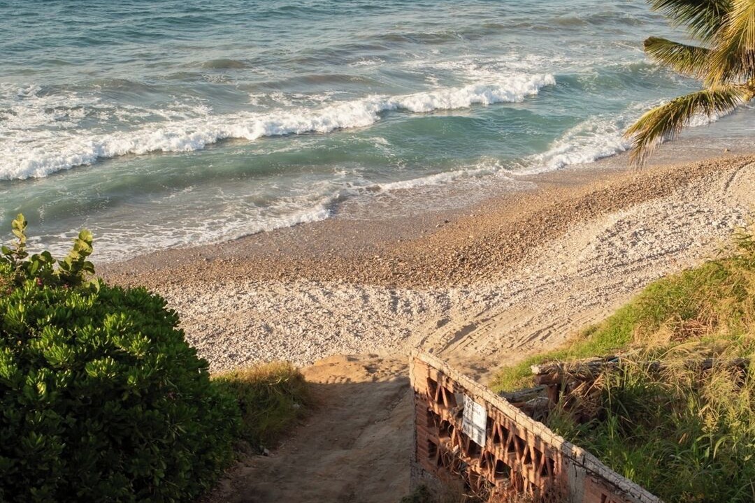 Photo of Others in Punta Negra
