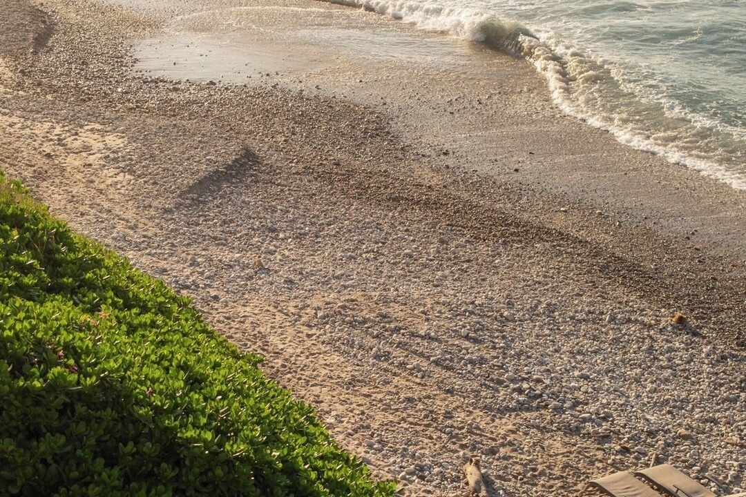 Photo of Others in Punta Negra