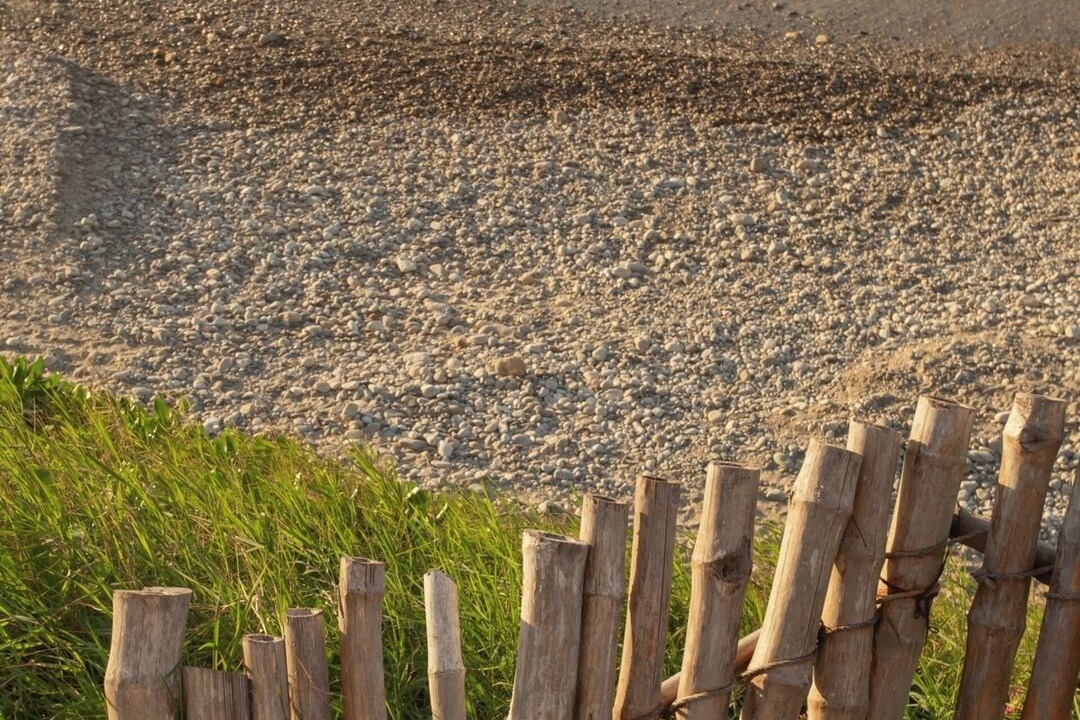 Photo of Others in Punta Negra